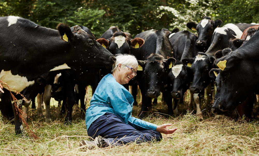 Mary Quicke in a dairy farm
